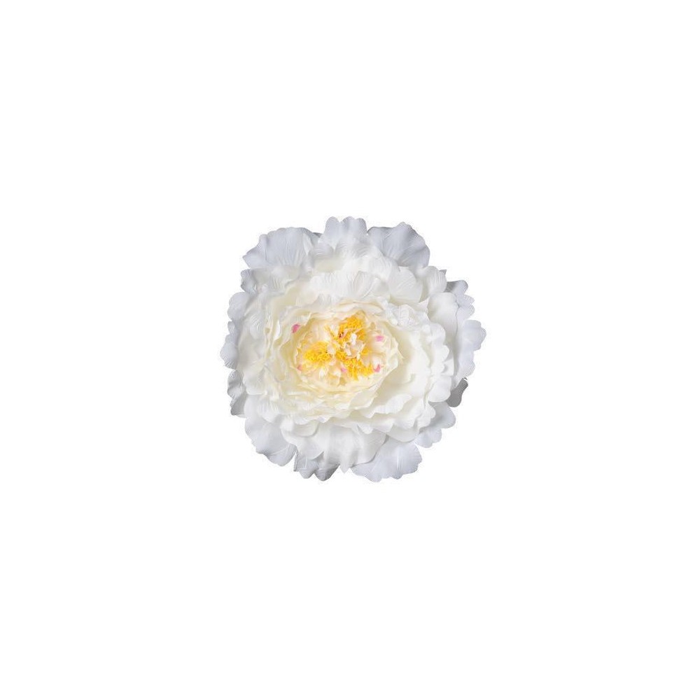 TESTA PEONIA XXL D48 CREMA